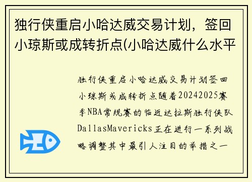 独行侠重启小哈达威交易计划，签回小琼斯或成转折点(小哈达威什么水平)