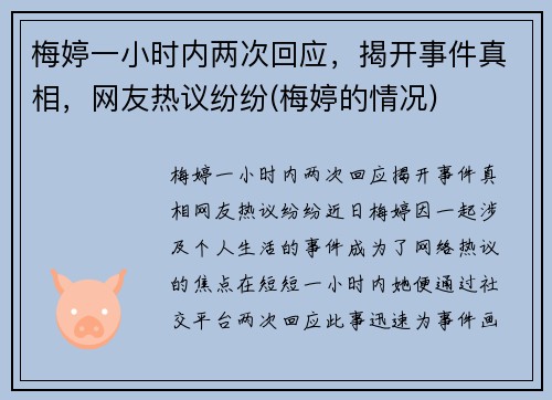 梅婷一小时内两次回应，揭开事件真相，网友热议纷纷(梅婷的情况)